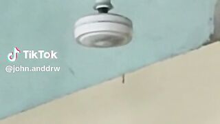 TikToks That Never Back Down