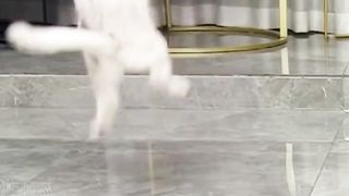 my cat is my favorite 13