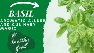 Basil Beyond the Basics: Exploring its Aroma, Uses, and Health Benefits
