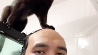 Try Not To Laugh Challenge - Funny Cat & Dog Vines compilation 2017 20