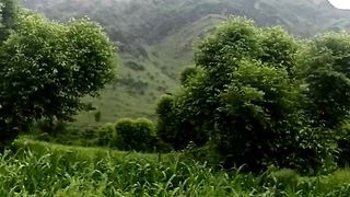 Swaat way