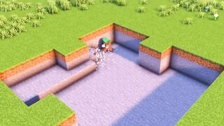 Short video 51