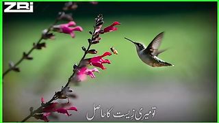 تو میری زیست کا حاصل *????خــــــــــــوبصورت*   *ســــــــــــٹیٹــــــــــــس♥*