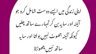 Chamcha jis bartan men rehta he use khali kar deta he best urdu Quotes