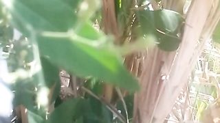 Animal lovers 725