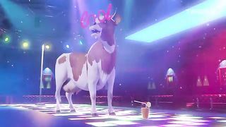 Funny Cow dance