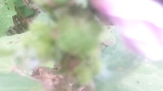 Animal lovers 732