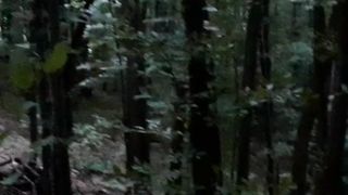 Beautiful nature 86