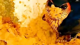 کتنی مشکل سے بنتا ہے یہ ضرور دیکھئے