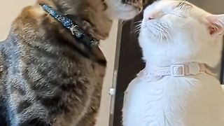 happy family 3