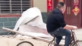 Funny video,hilarious enoughto cause stomach pain