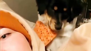 Смешные видео 2023