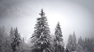SnowFall 2