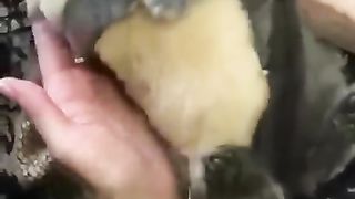 Funny cats compilation 6