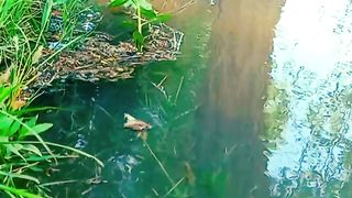 Relaxation and Sleep | Meditation Video | Amazing Scenery | Nature View