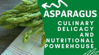 Asparagus Alchemy: Elevating Your Culinary Repertoire with Elegant Spears