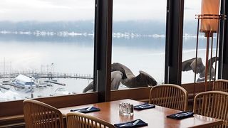 Fighting geese outside the restaurant window