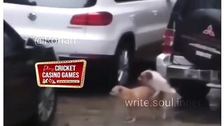 Enko Tufan Bhi Nhi Rok Sakta