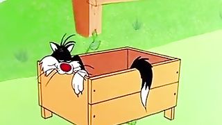 Catoon the CAT in the big up