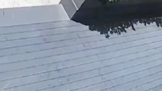funny video 302