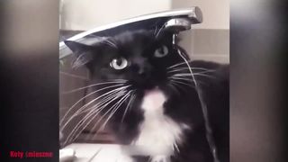 哈哈哈哈哈哈哈哈哈哈哈哈
