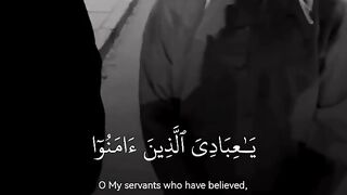 Beautiful recitation of quran ????