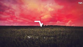 TN Capítulo 91