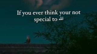 YOU ARE SPECIAL TO ALLAH ☝️????❤️