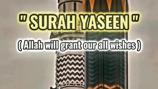 POWER OF QURAN - WHICH SURAH DID YOU RECITE REGULAR??? ???? ✨ #shorts # #muslim