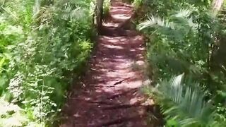 Beautiful nature 87