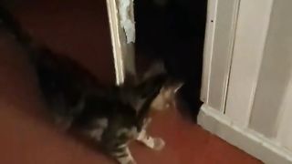 On visite une maison abandonnée !!! ???? Enfin presque