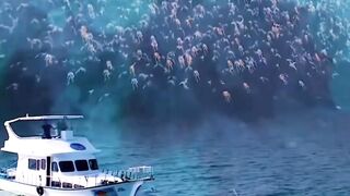 Zombie tidal wave