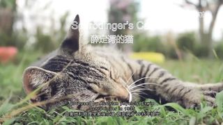 Schrodinger's Cat