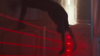Fortnite 15