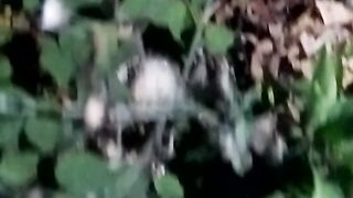 Animal lovers 778