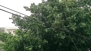 Raining ☔⛈️