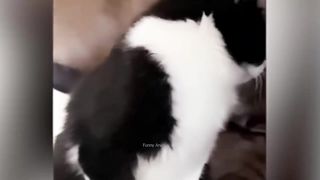 Sooo funy anmail video