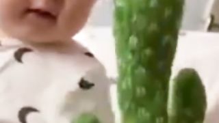 Cactus toy