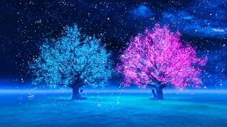 Lovely video 9