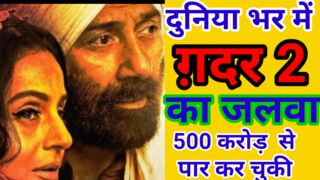 गदर2 का जलवा 500 करोड़ से पार /Gadar2 woridwide collection