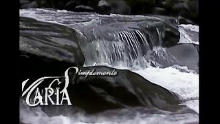 Simplemente Maria 72