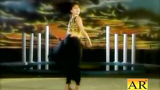 Akram Rahi_ Naseebo Lal - Teri Game Auder Vee Chal