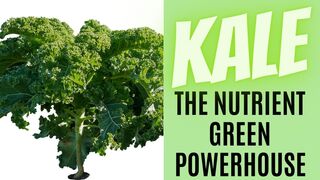 Kale Cuisine : From Superfood Salads to Savory Delights - Exploring the Kaleidoscope of Flavors