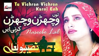 Tu Vichran Vichran Karni - Best of Naseebo Lal -