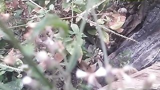 Animal lovers 803
