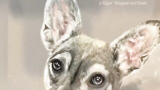 craft and Arts video 45