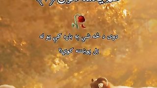 بہترین تلاوت قرآن شروع کرتے ہیں پروردگار کے نام سےجو جو تمام جہانوں کا مالک ہے