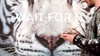craft and Arts video 47