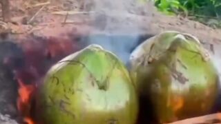 Cook the scorpion in coconut and eat it.