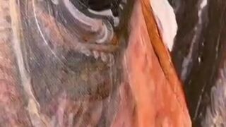 craft and Arts video 51